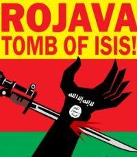 «Рожава похожа на оазис в политической пустыне»